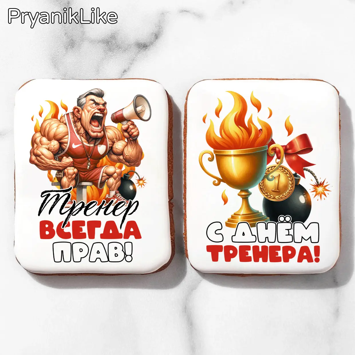 Огненный тренер (10)